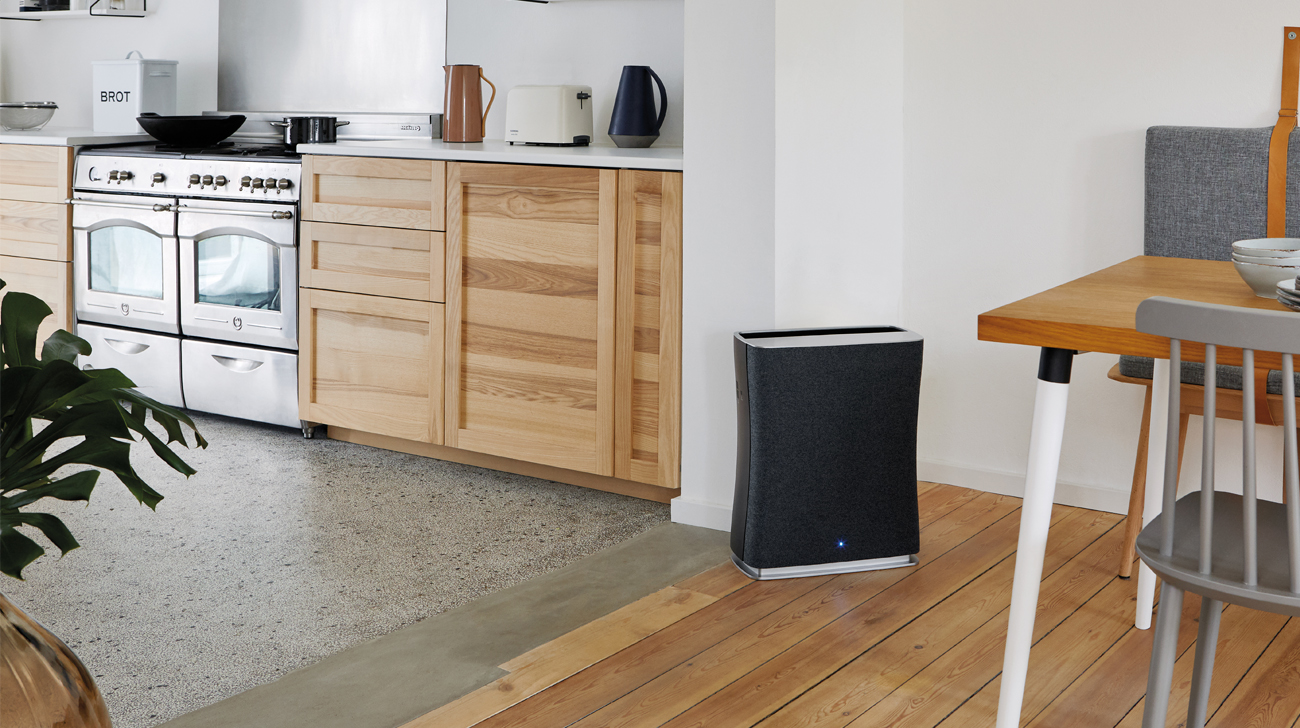 Oczyszczacz powietrza Stadler Form Roger 2